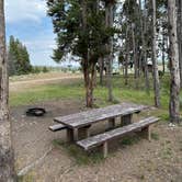 Review photo of South Van Houten Campground by Tee C., August 2, 2023