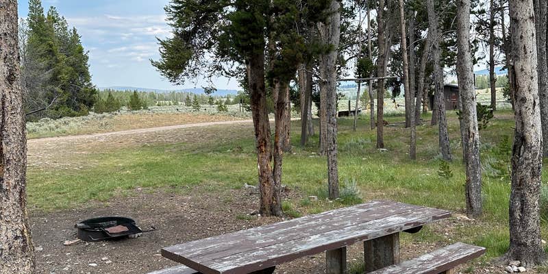 Camper submitted image from South Van Houten Campground