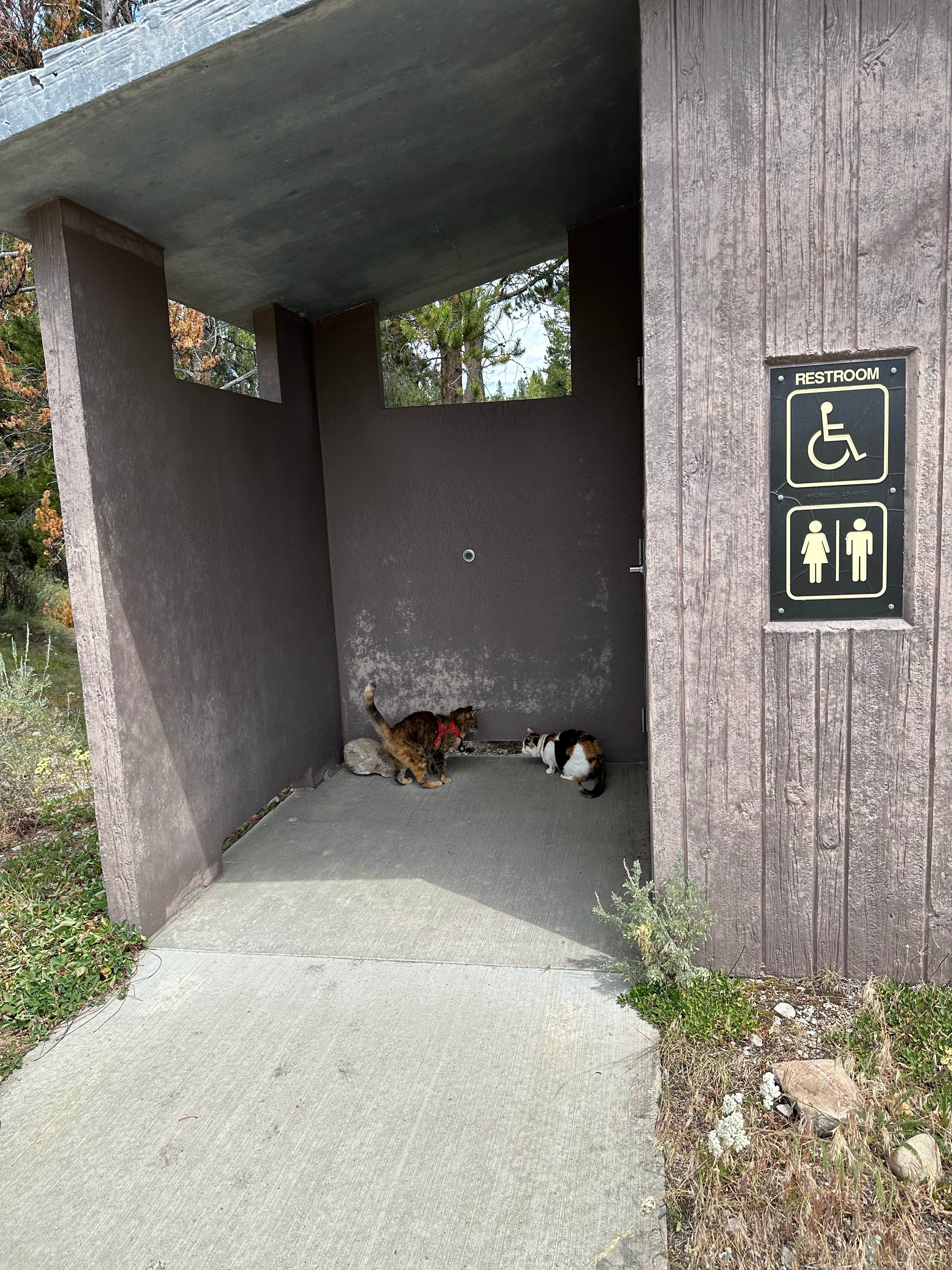 Camper-submitted photo at North Van Houten Campground near Jackson, MT