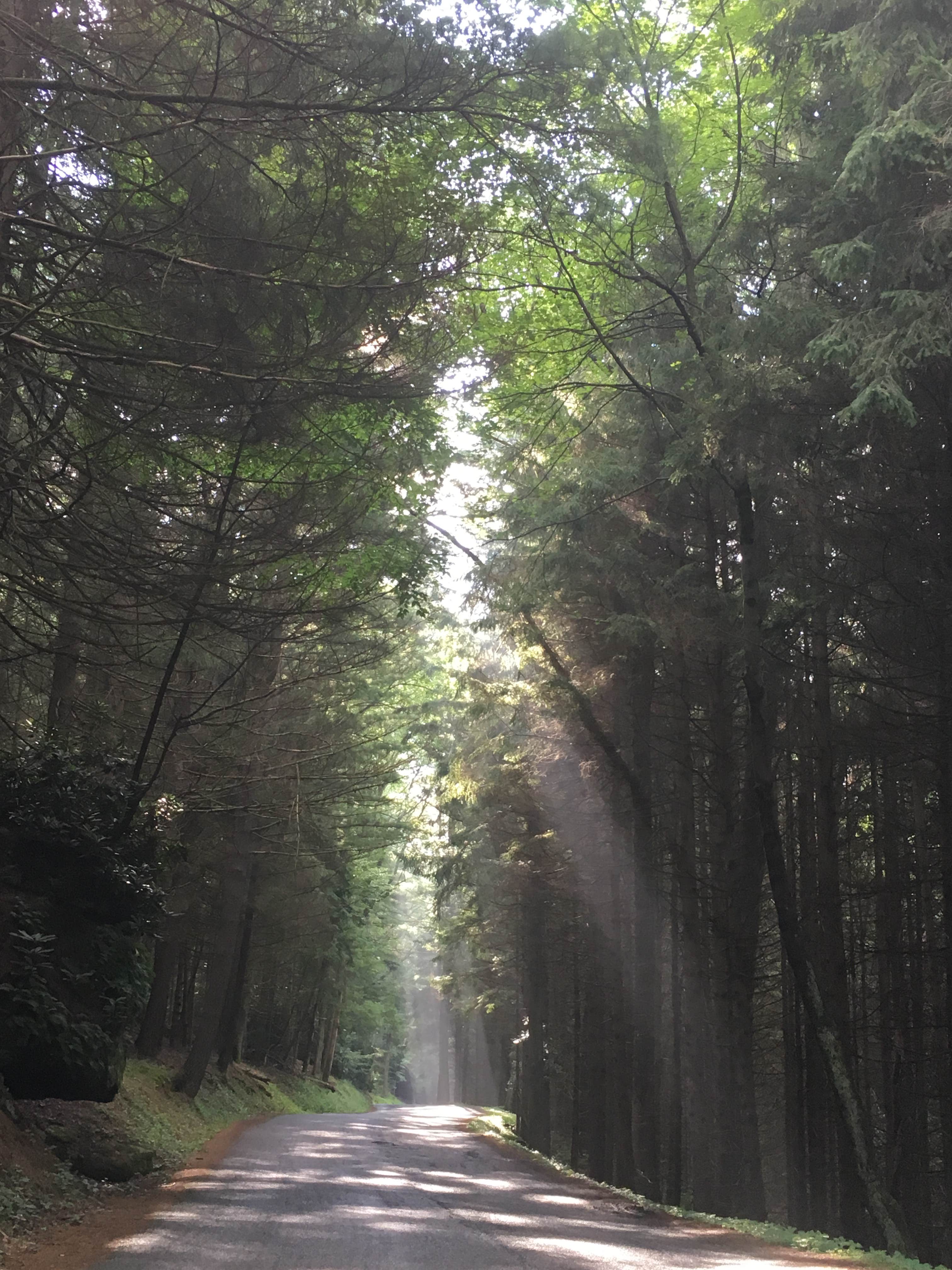 Camper submitted image from Rvino - Campers Paradise - 5
