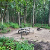 Review photo of Dunewood Campground — Indiana Dunes National Park by Katherine T., August 3, 2023