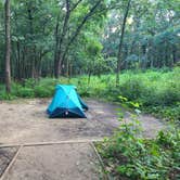 Review photo of Dunewood Campground — Indiana Dunes National Park by Katherine T., August 3, 2023