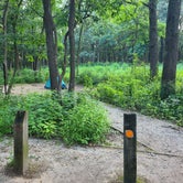 Review photo of Dunewood Campground — Indiana Dunes National Park by Katherine T., August 3, 2023