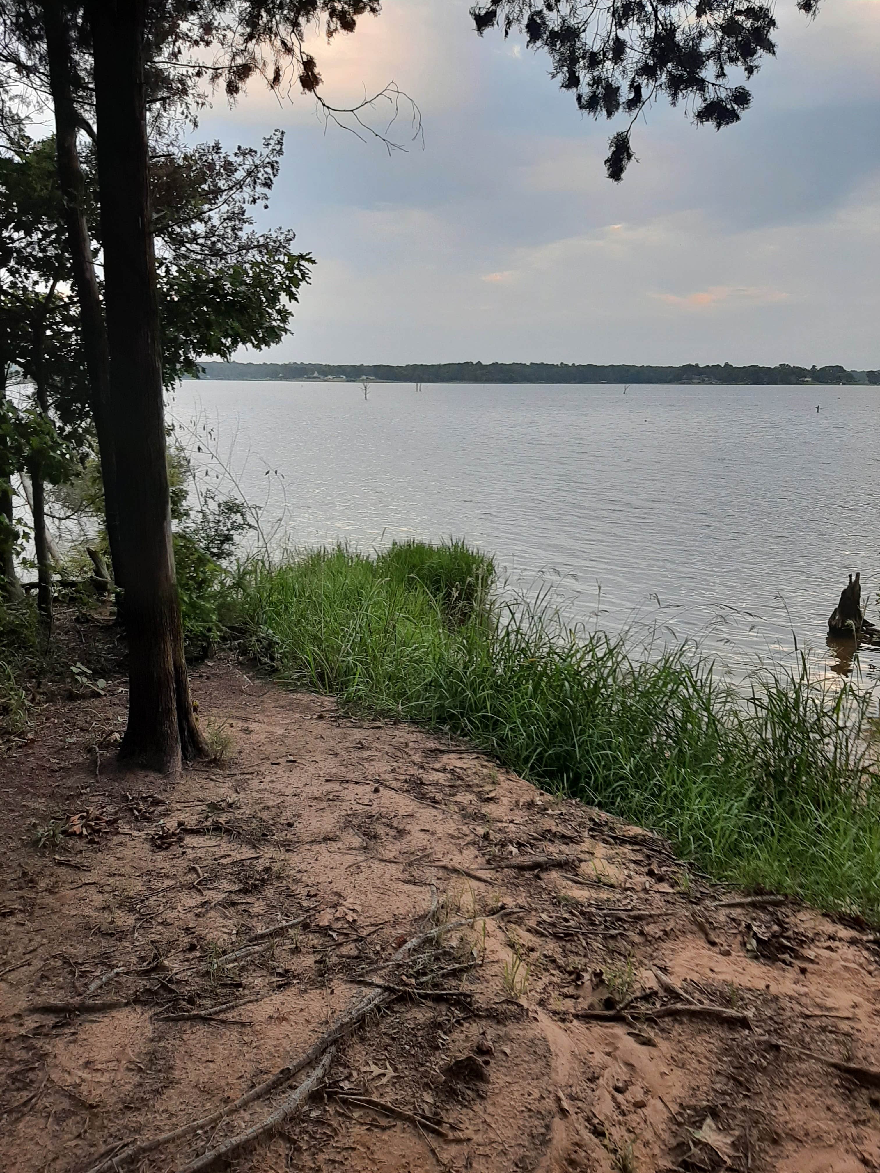 Zack L.'s photo of camping with pets at Lake Bob Sandlin State Park Campground near Mount Vernon, TX