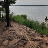 Review photo of Lake Bob Sandlin State Park Campground by Zack L., August 3, 2023