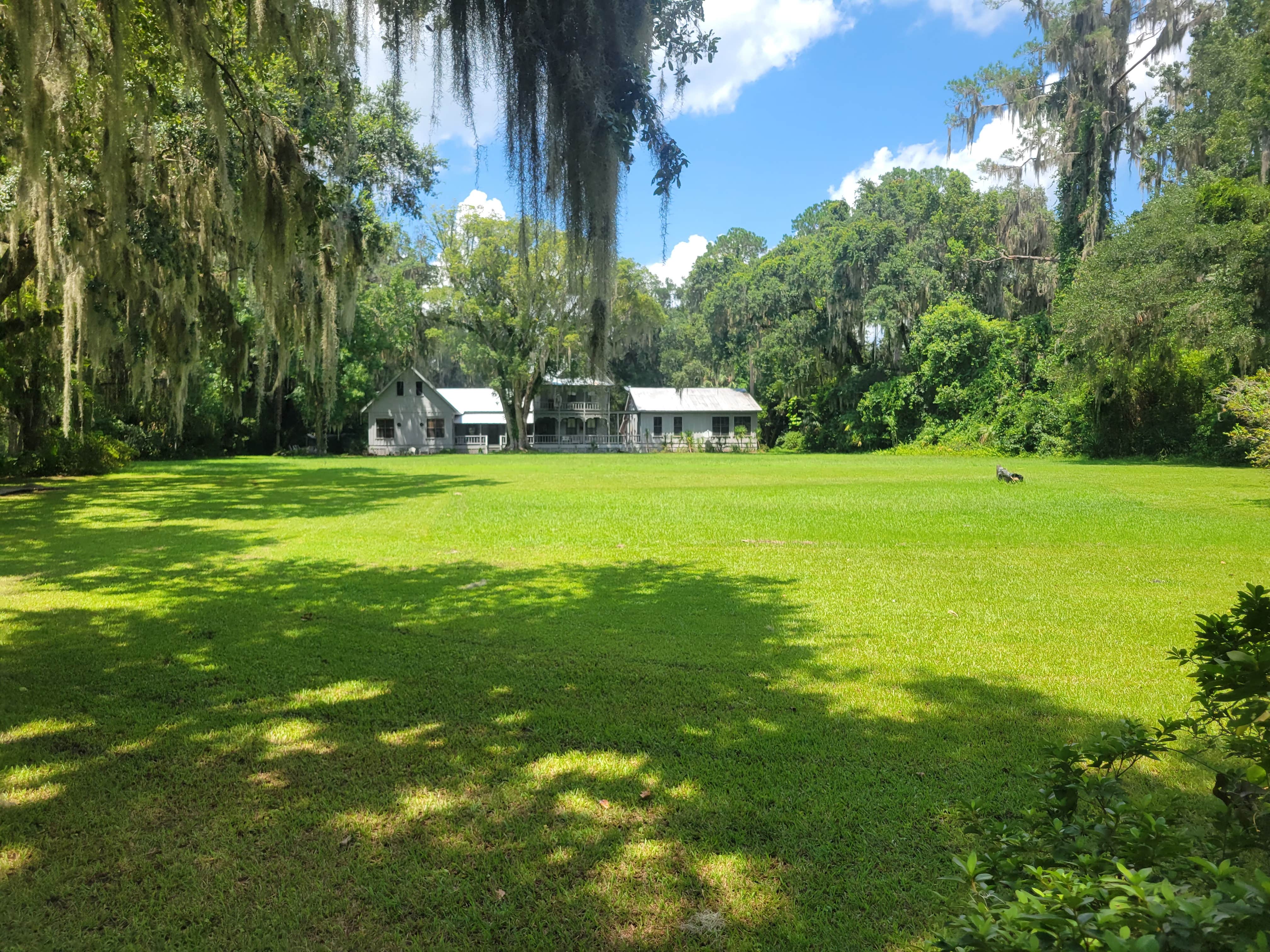 Mike B.'s photo of camping with pets at SoFlow Vdub Ranch near Ocala National Forest
