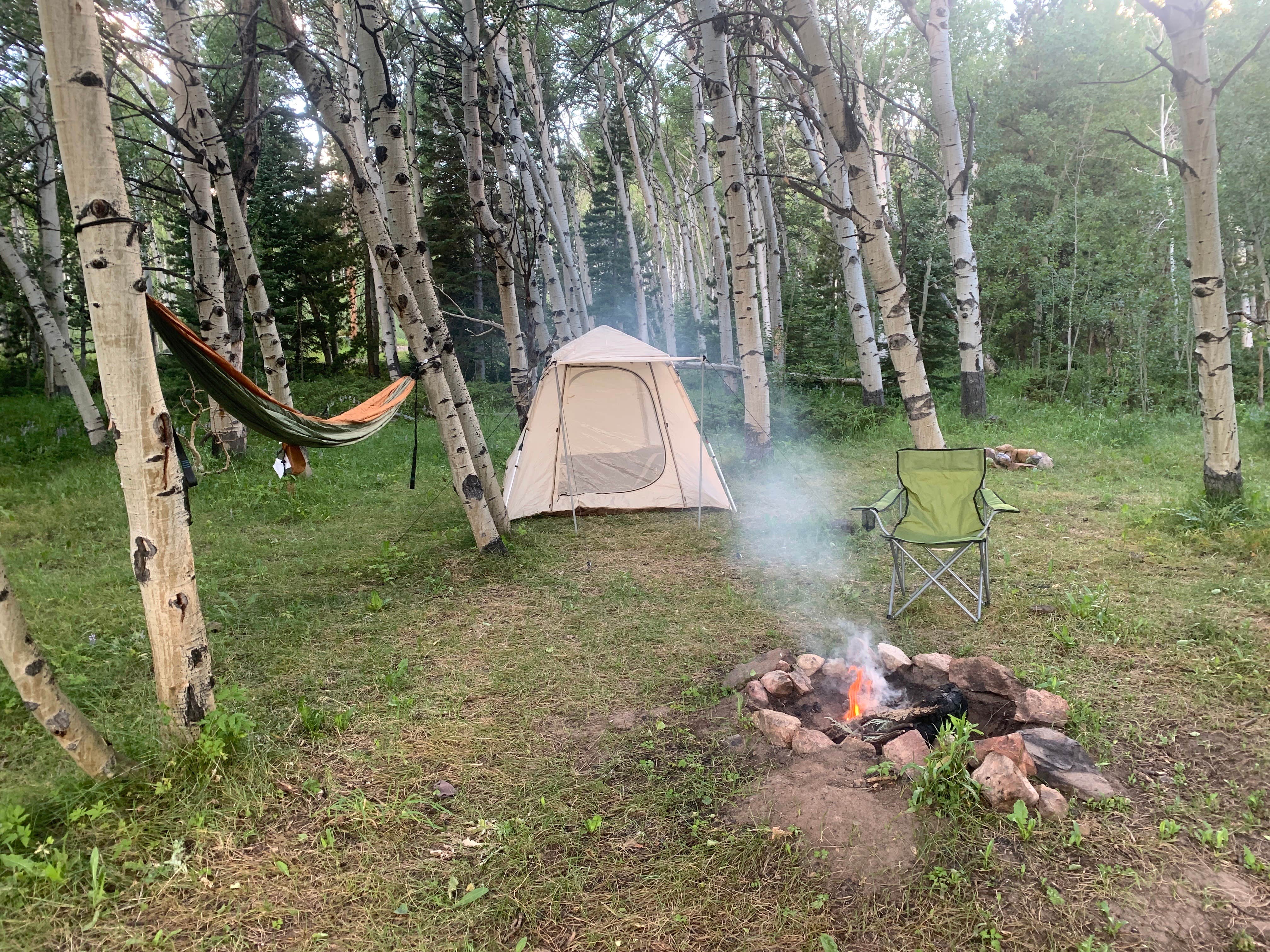 Camper submitted image from Laramie Overlook Disperesed Camping - 3
