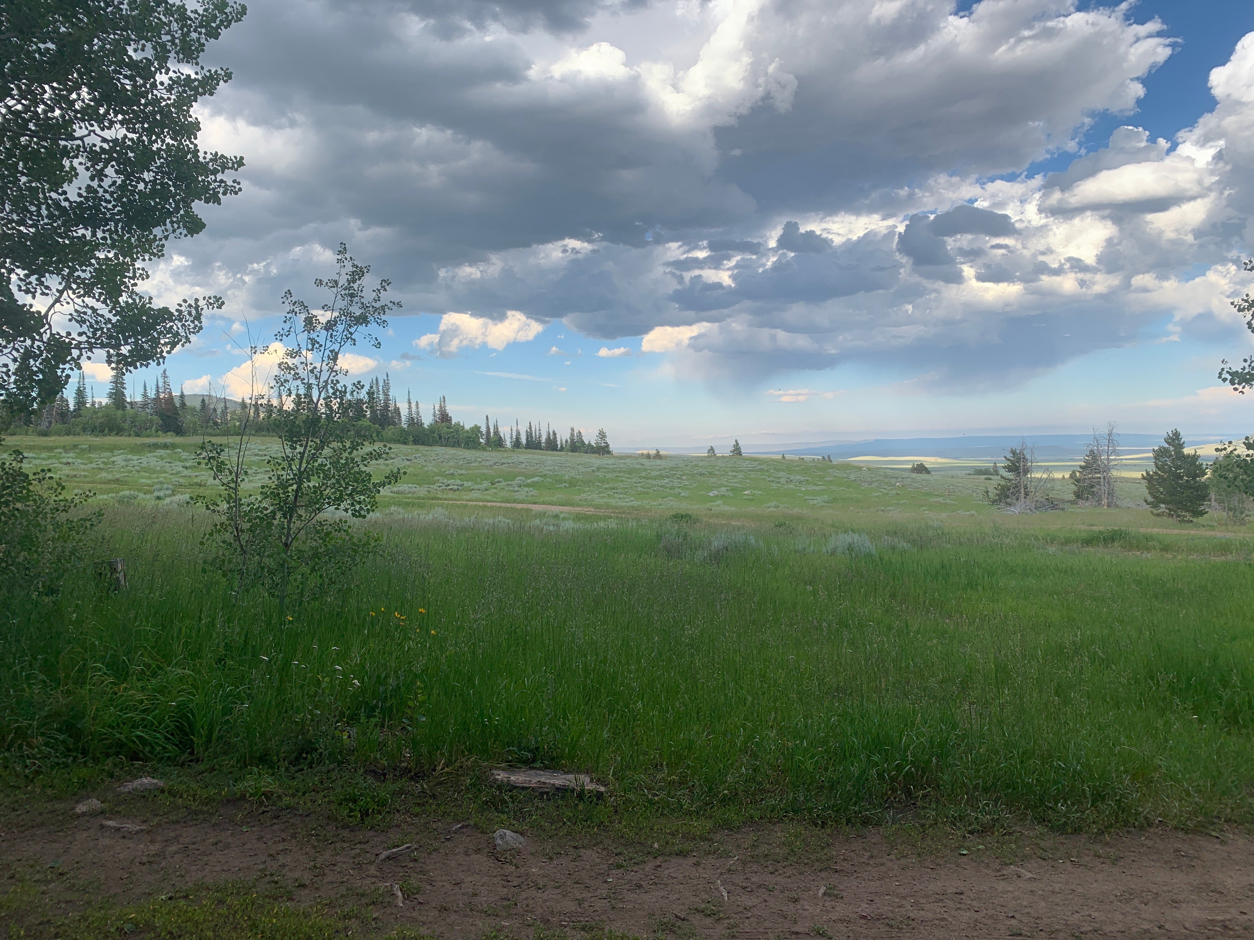 Camper submitted image from Laramie Overlook Disperesed Camping - 2