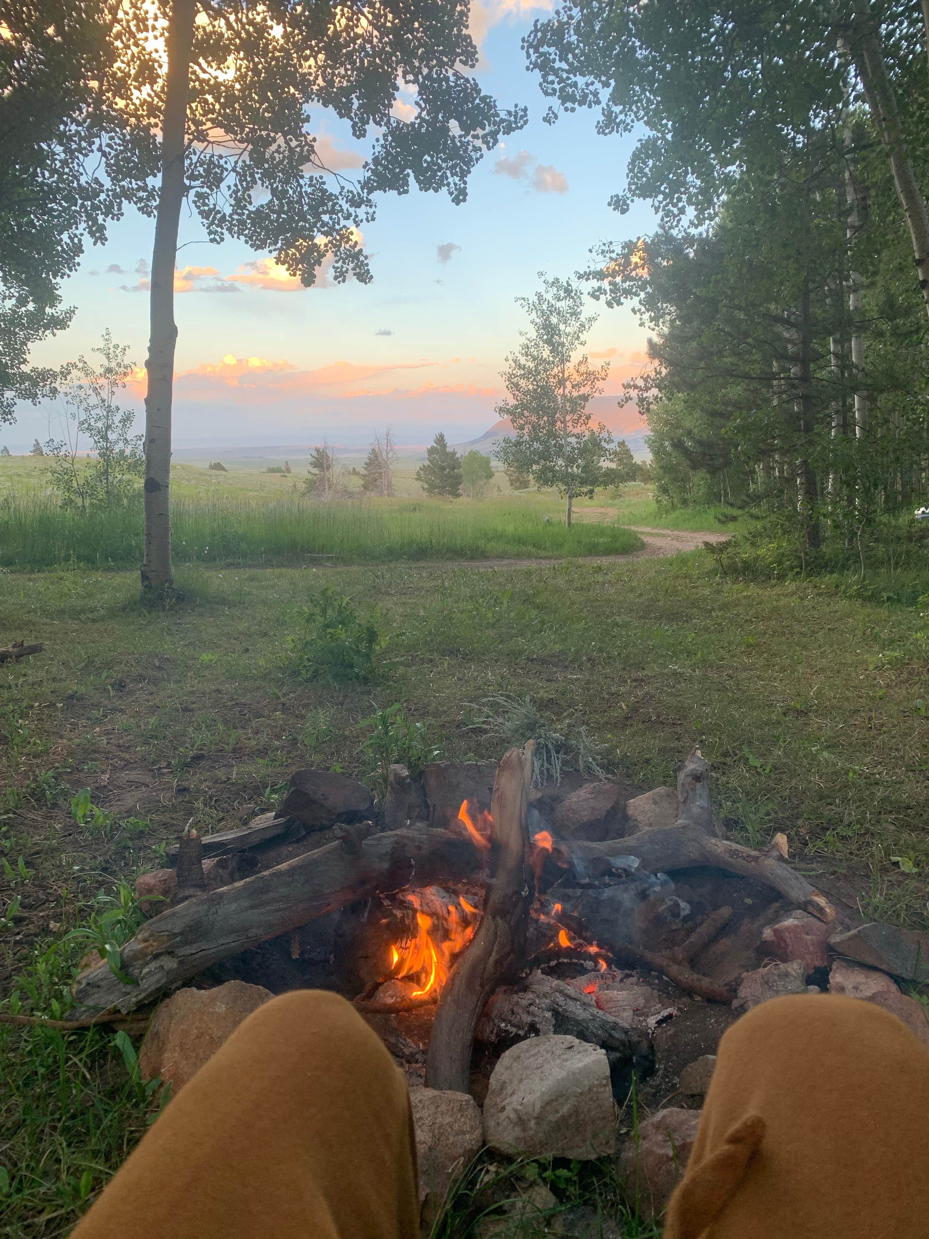 Camper submitted image from Laramie Overlook Disperesed Camping - 1