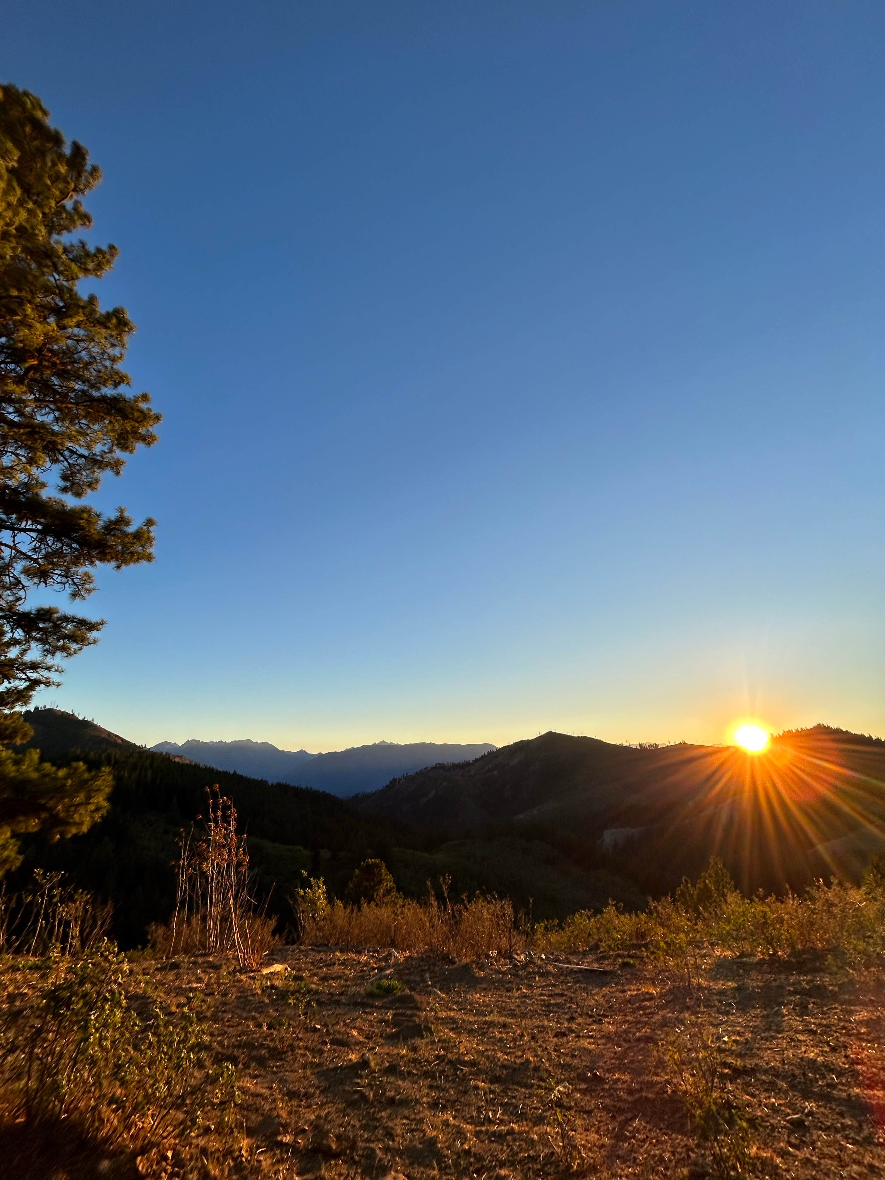 Alyson M.'s photo of a dispersed camping area at Chumstick Mountain Dispersed Camping near Pateros, WA