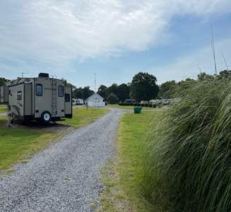Camper-submitted photo from Palmetto Island State Park Campground