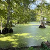 Review photo of Bayou Wilderness RV Resort by andrew , August 3, 2023