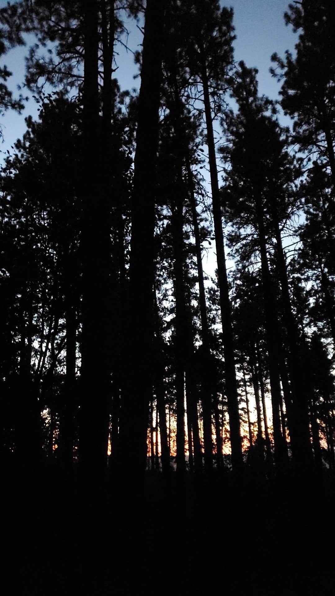 Camper-submitted photo at Kamiak Butte County Park near St. John, WA