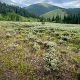 Review photo of Dispersed camping along Cliff Creek in Bridger-Teton National Forest by BEN F., August 3, 2023