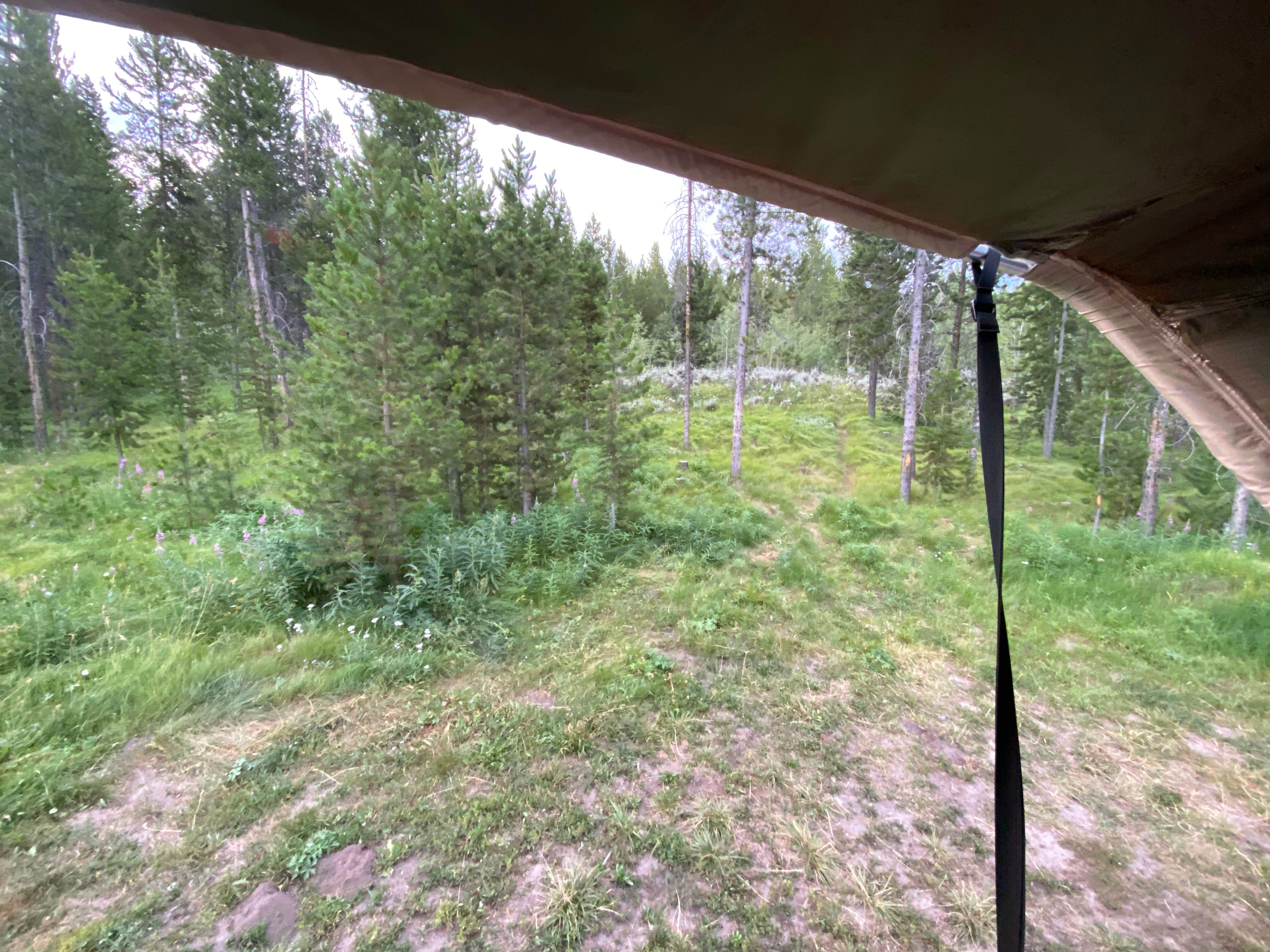 Jake's photo at Upper Teton View Dispersed near Moran, WY