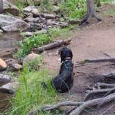 Review photo of Campbell Creek Campground — Medicine Bow Routt N Fs & Thunder Basin Ng by Leslie B., August 3, 2023