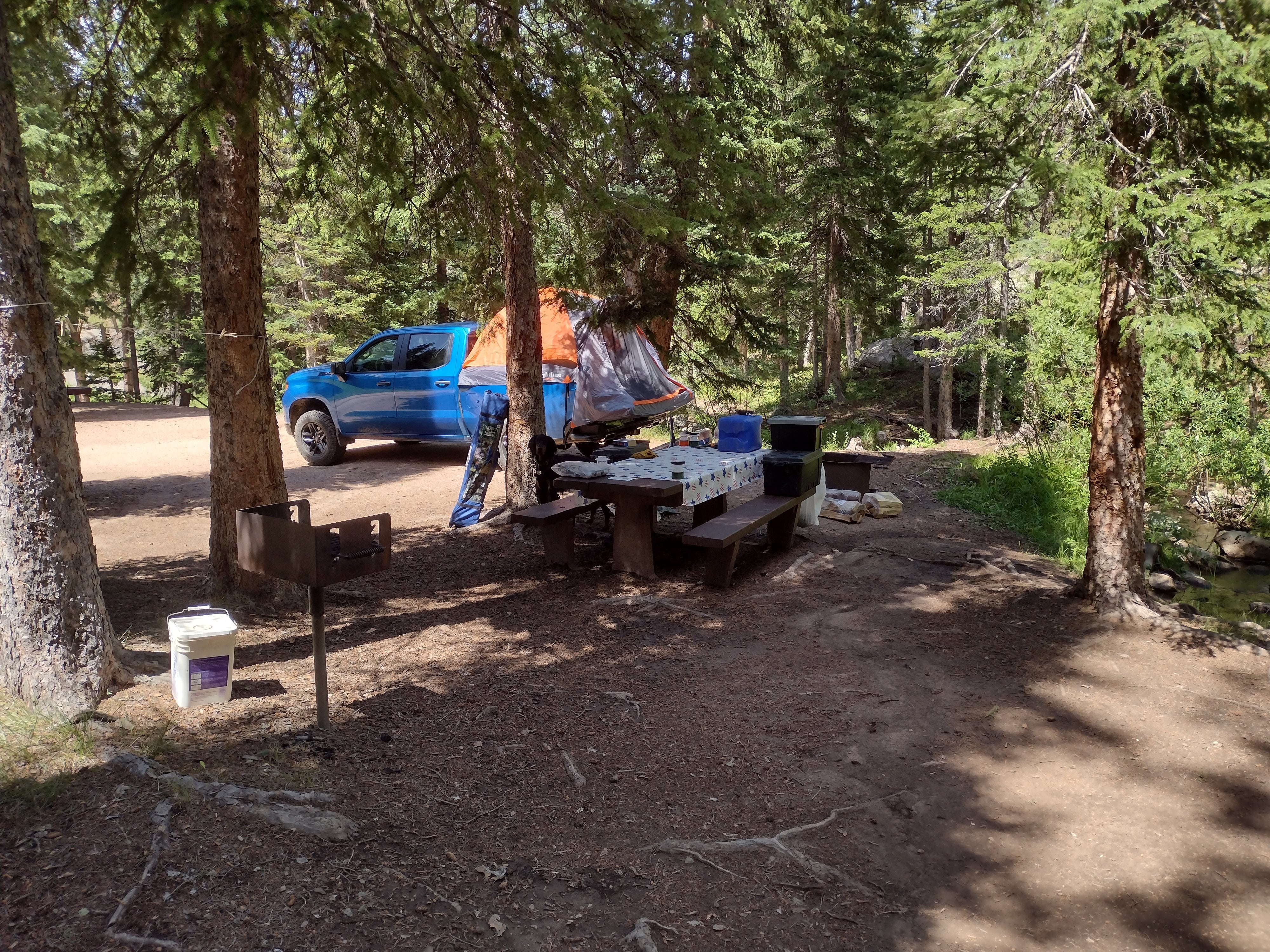 Camper submitted image from Campbell Creek - 1