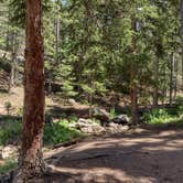 Review photo of Campbell Creek Campground — Medicine Bow Routt N Fs & Thunder Basin Ng by Leslie B., August 3, 2023