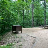 Review photo of Sherando Lake Campground by Lawrence L., August 3, 2023