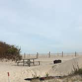 Review photo of Bayside Assateague Campground — Assateague Island National Seashore by Kelsey M., October 26, 2018