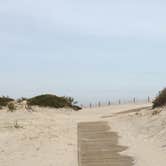 Review photo of Bayside Assateague Campground — Assateague Island National Seashore by Kelsey M., October 26, 2018