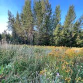 Review photo of Glacier HipCamp (6 mins to West Glacier National Park) 🏕️ by Rachael L., August 4, 2023