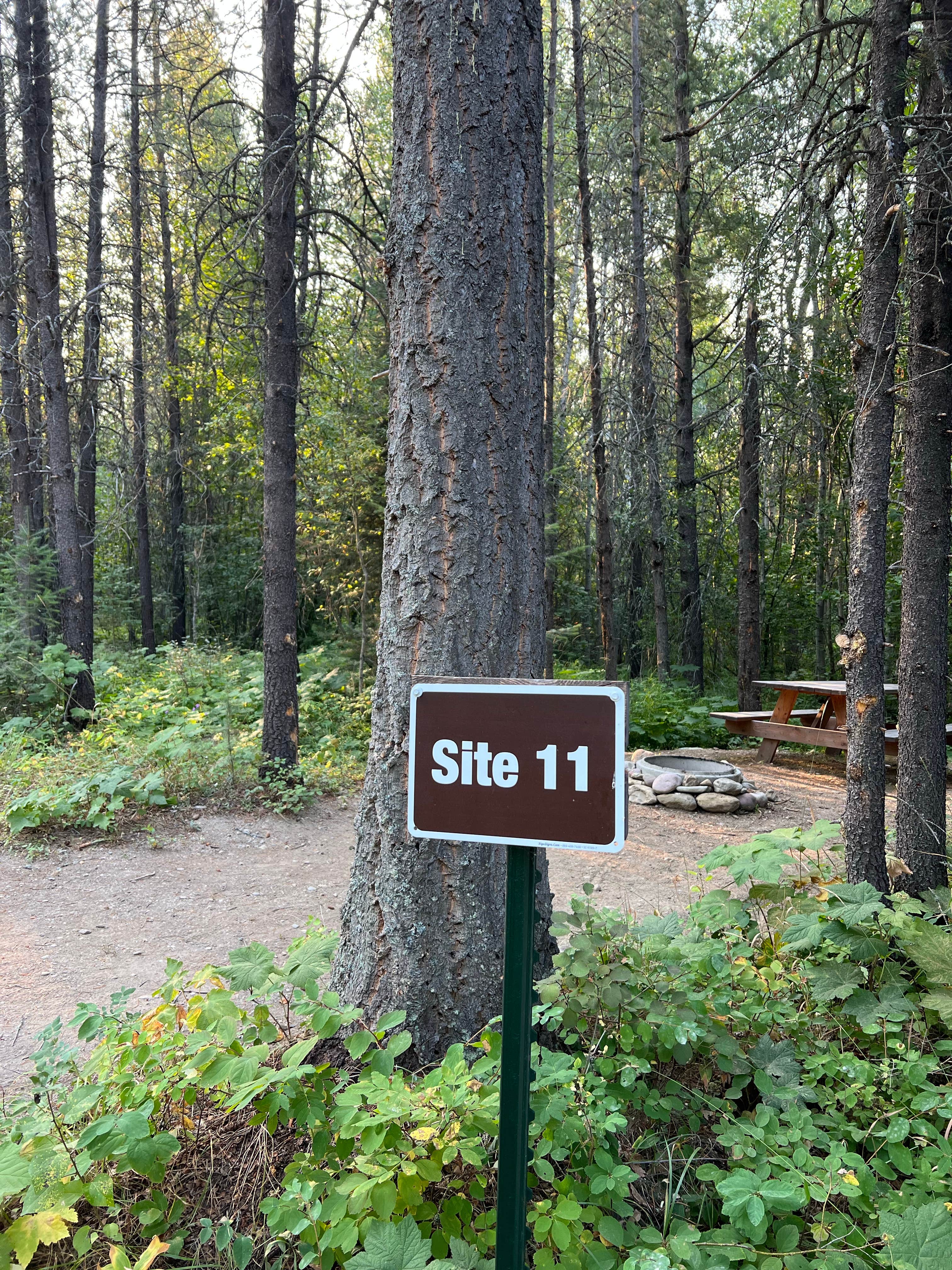 Camper submitted image from Glacier HipCamp (6 mins to West Glacier National Park) 🏕️ - 5