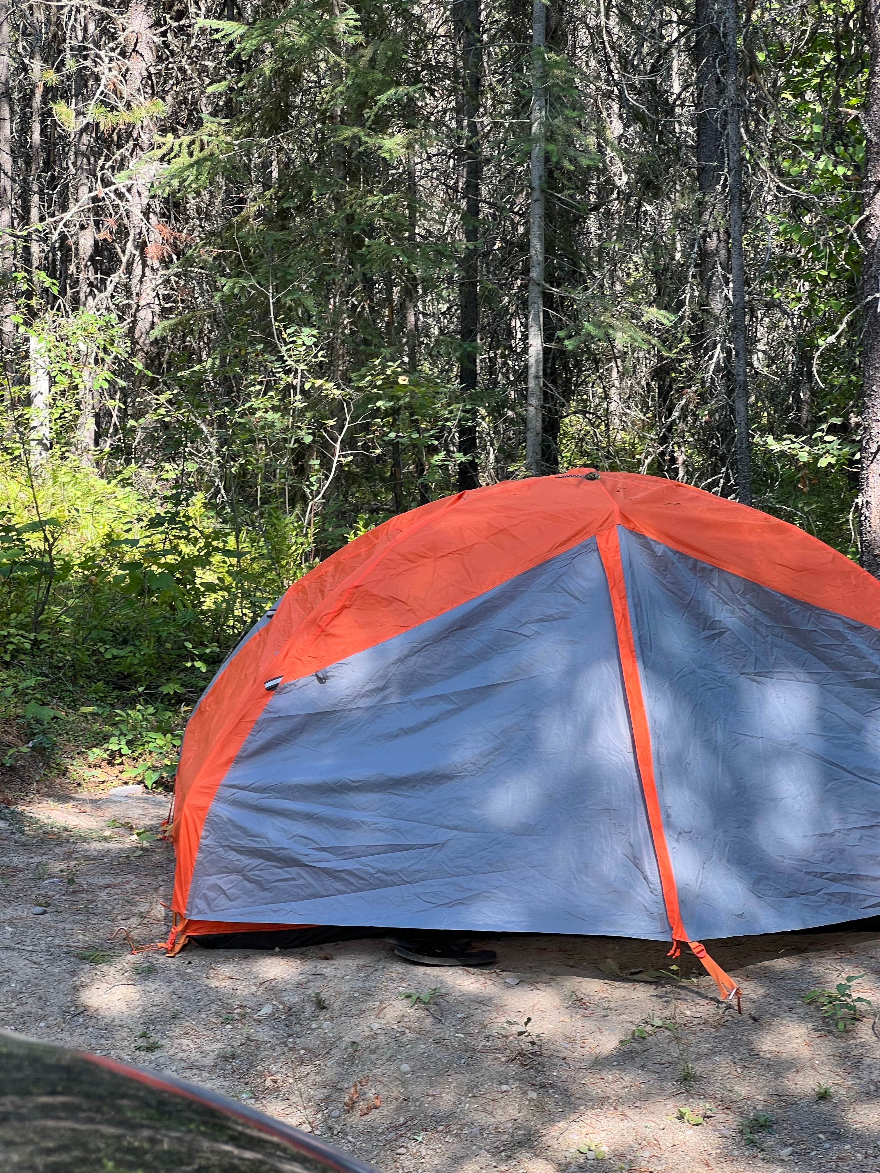 Rachael L.'s photo at Glacier HipCamp (6 mins to West Glacier National Park) 🏕️ near Columbia Falls, MT