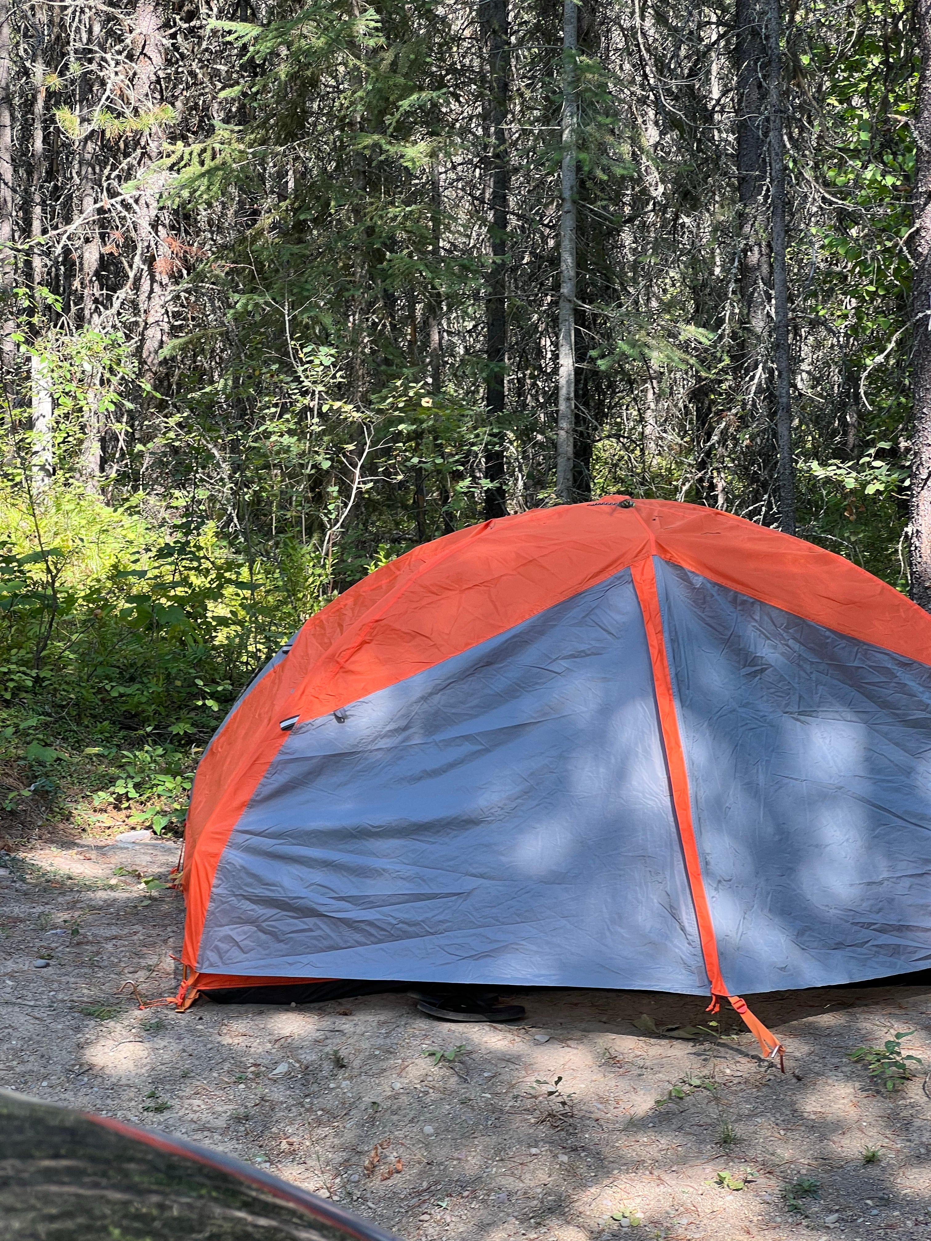 Camper submitted image from Glacier HipCamp (6 mins to West Glacier National Park) 🏕️ - 4