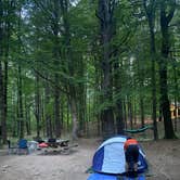 Review photo of Catskill/Kenneth L Wilson Campground by Melanie H., August 4, 2023