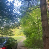 Review photo of Catskill/Kenneth L Wilson Campground by Melanie H., August 4, 2023
