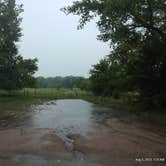 Review photo of Blue Hole Wildlife Management Area by Lindsey J., August 4, 2023