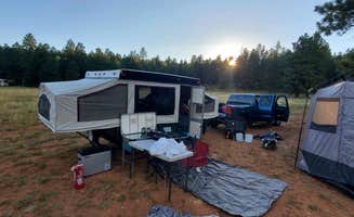 Stephanie W.'s photo of a dispersed camping area at Lava Flat Dispersed Camping Area near Alton, UT