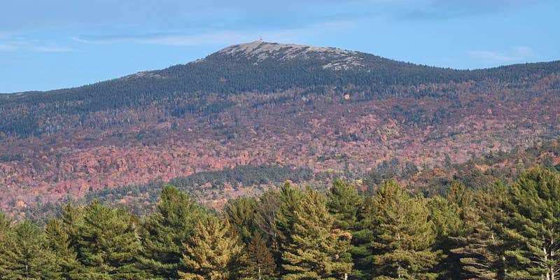 Camper submitted image from Cardigan Skyline Camps