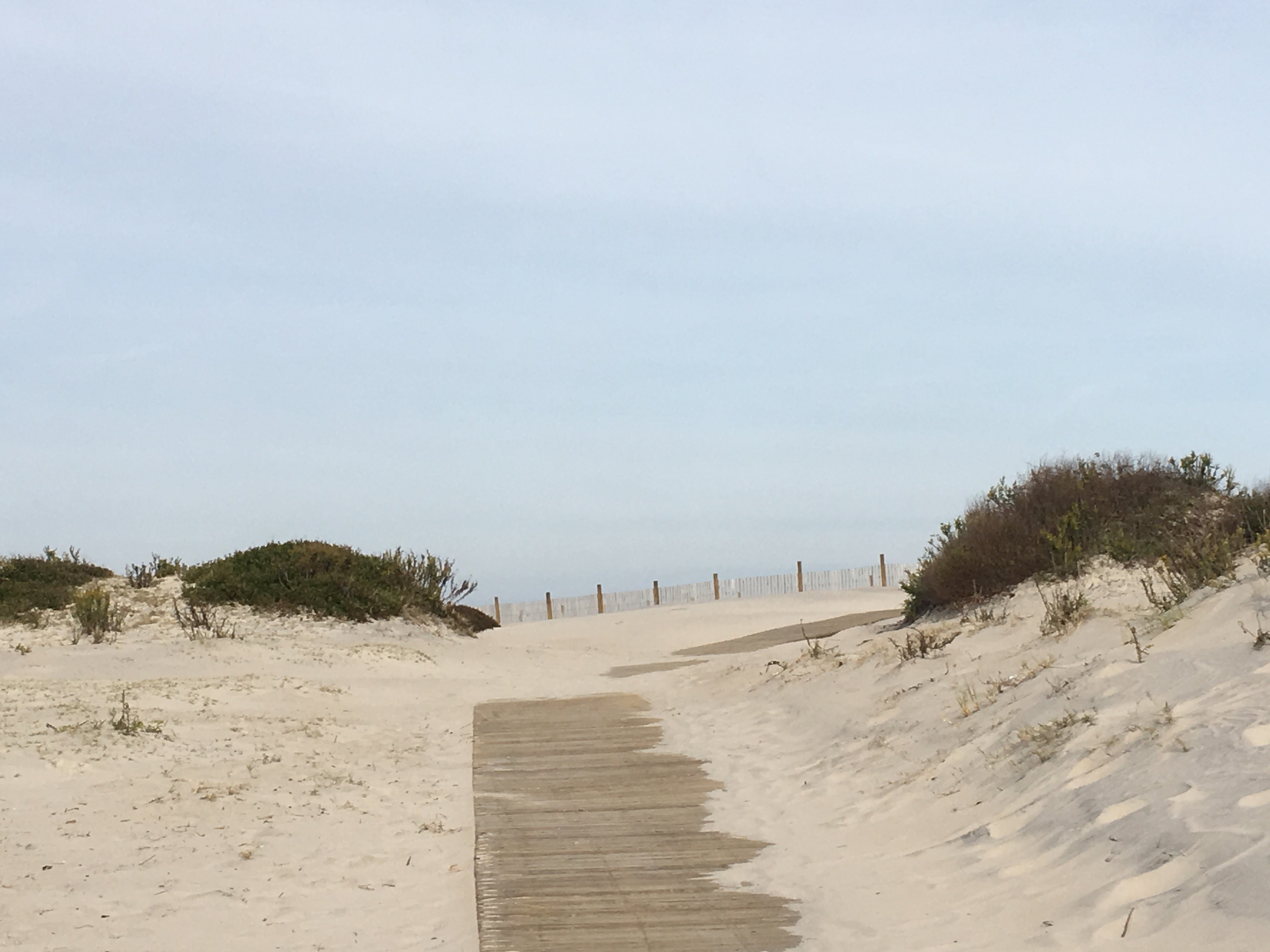 Boardwalk over the dunes