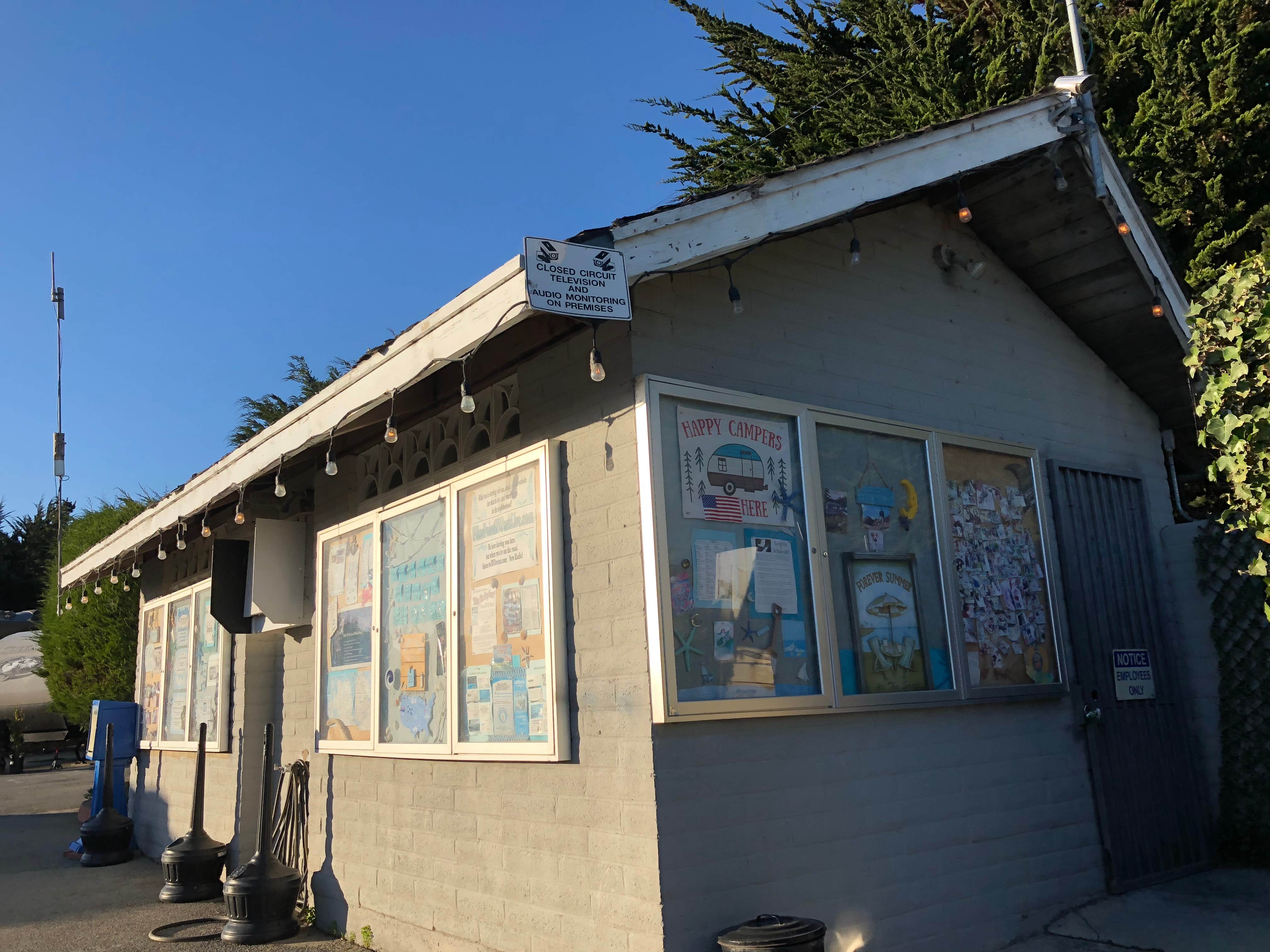 Camper submitted image from Pillar Point RV Park - 5