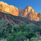 Review photo of South Campground — Zion National Park by Lysek L., August 4, 2023