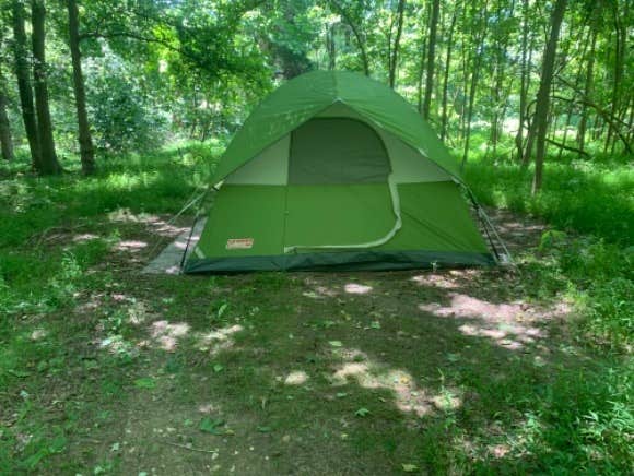 The Dyrt's photo at Tentrr Signature Site - Barbara's Serenity - Coleman Outfitted Site near Woodbridge, VA
