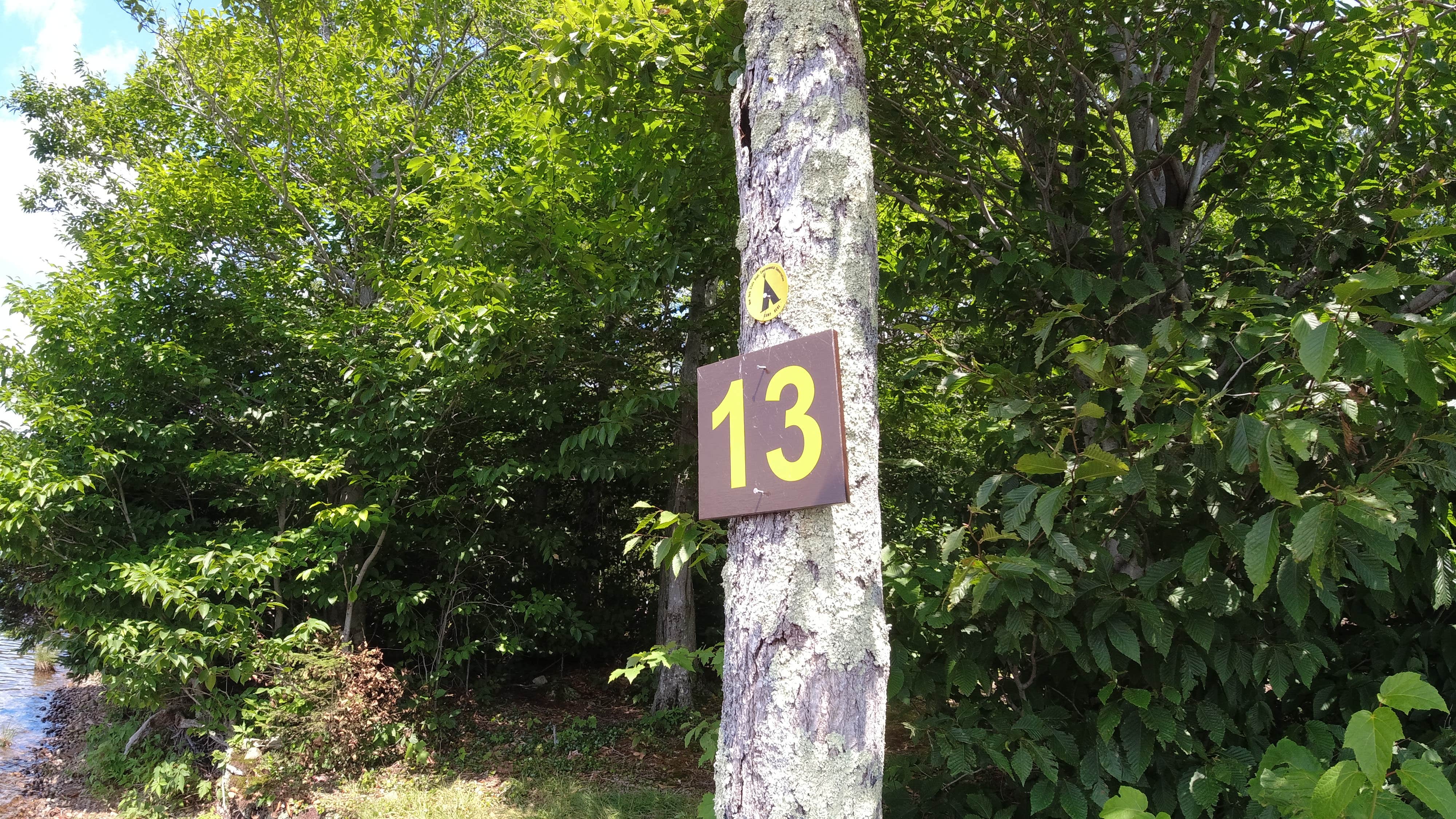 Camper submitted image from Cranberry Lake Campground - 4