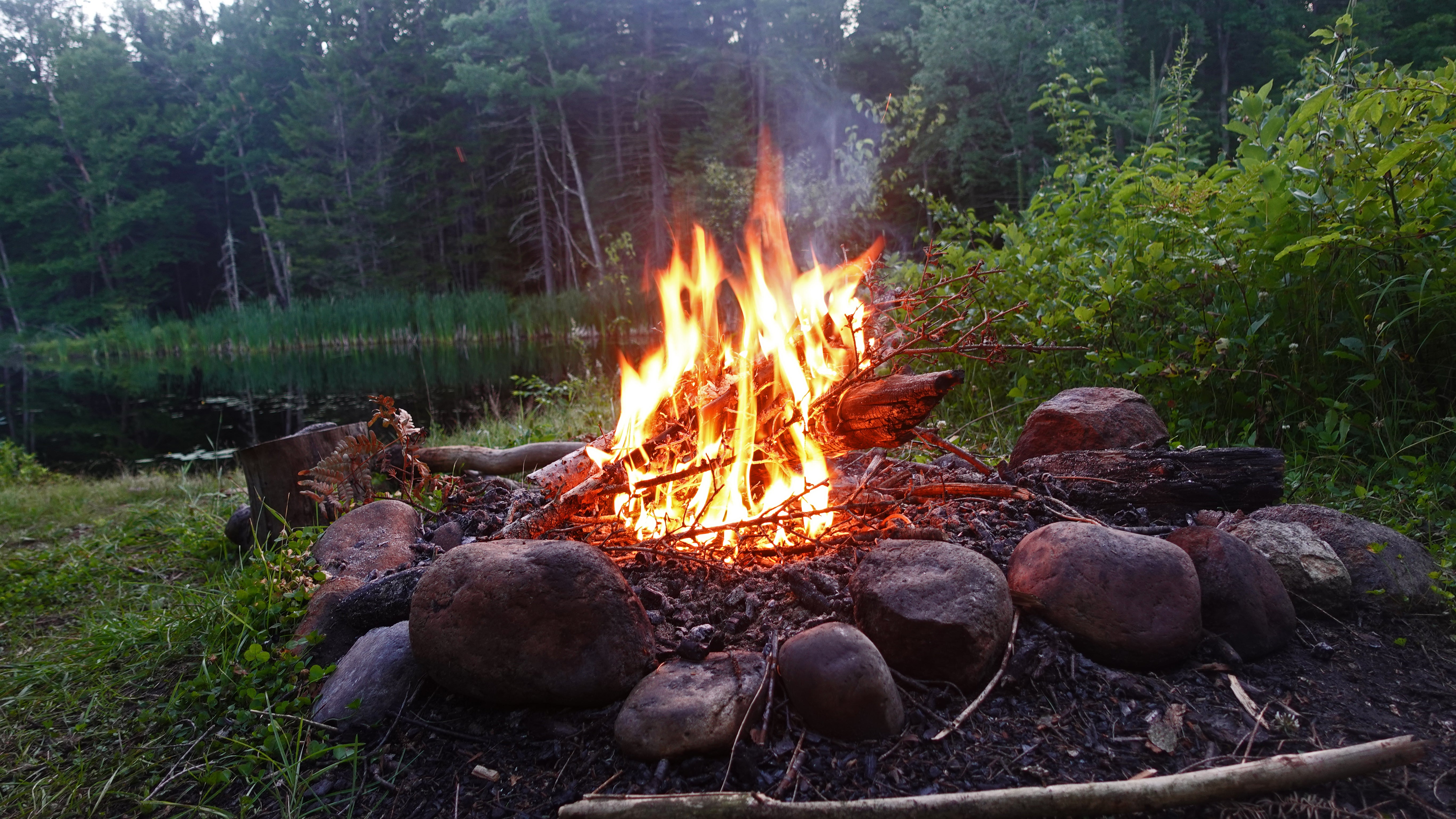 Camper submitted image from Cranberry Lake - 1