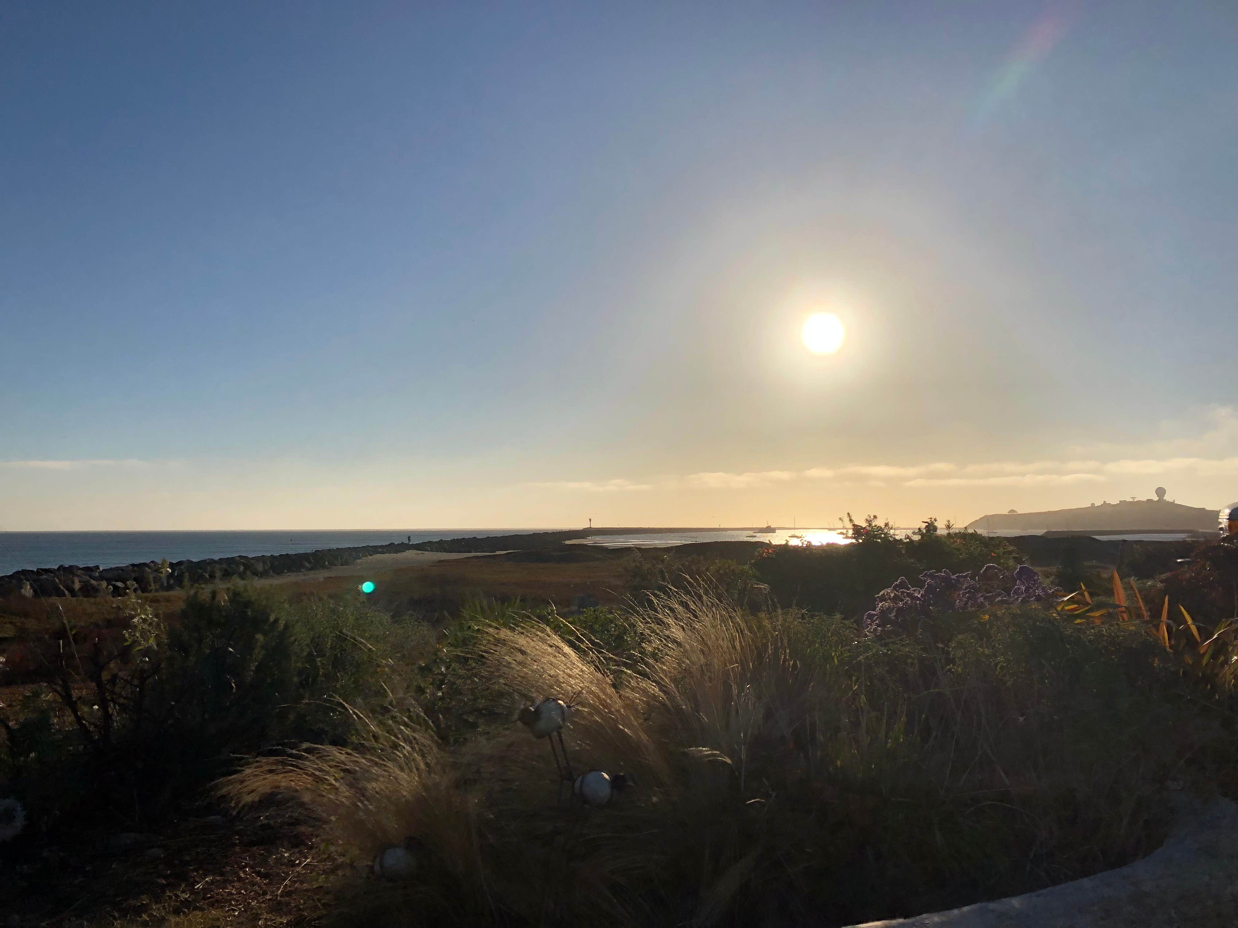 Camper-submitted photo at Pillar Point RV Park near Sausalito, CA