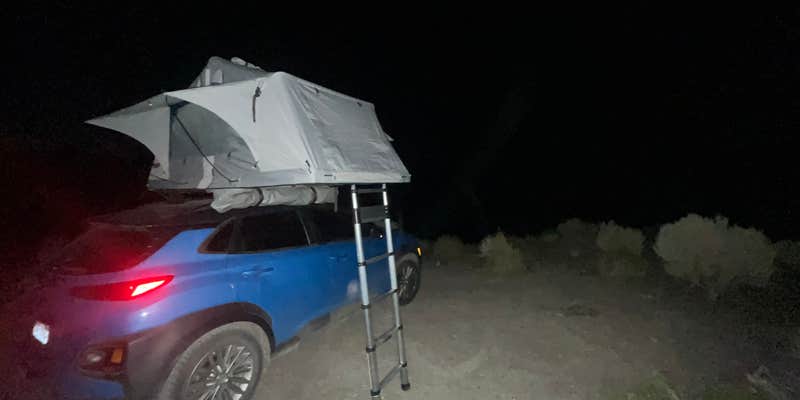Camper submitted image from Mono Basin Dispersed Camp Site