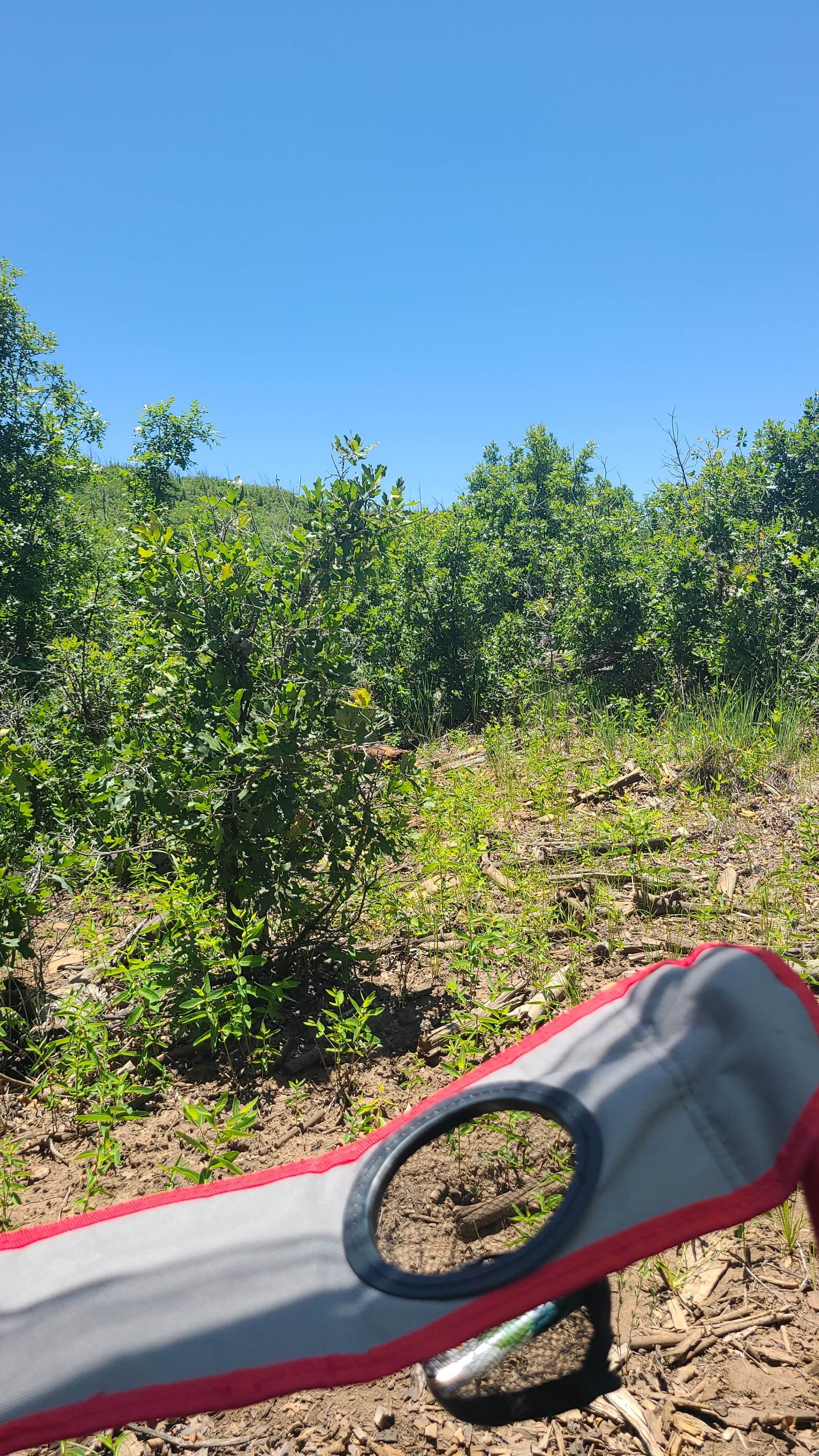 Camper-submitted photo at The Sherwood Escape near Mountainair, NM