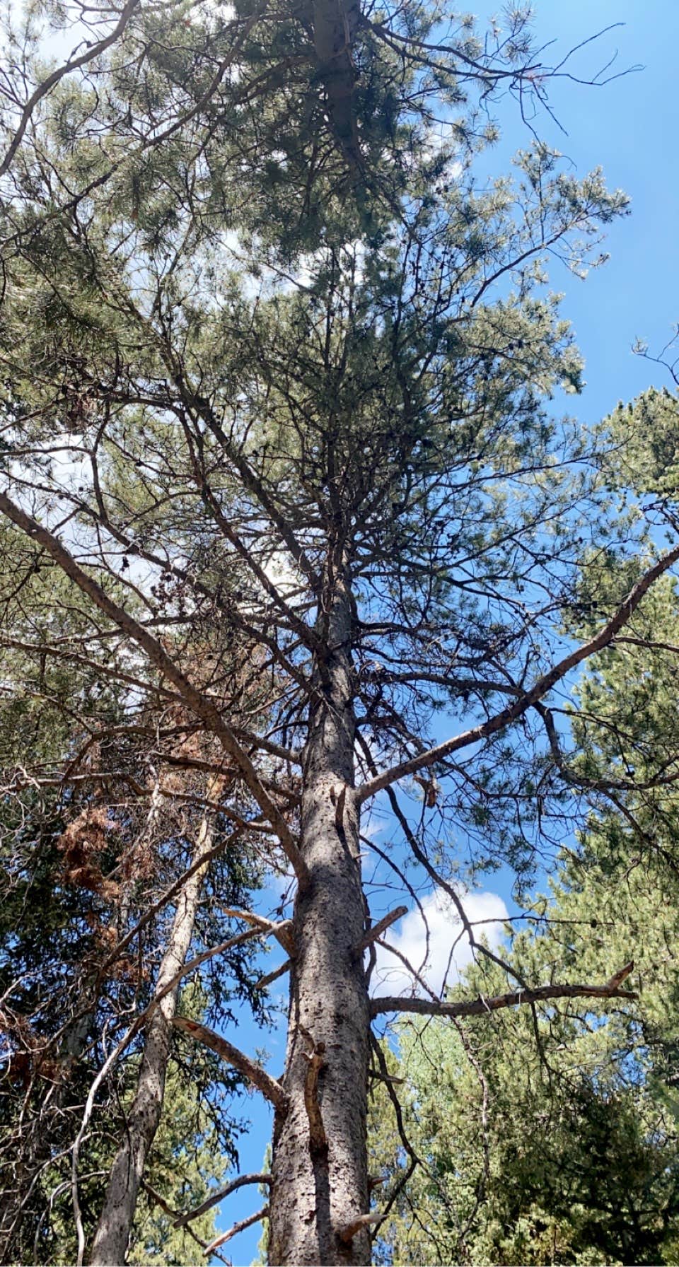 Camper-submitted photo at Sunrise Campground near Cokeville, WY
