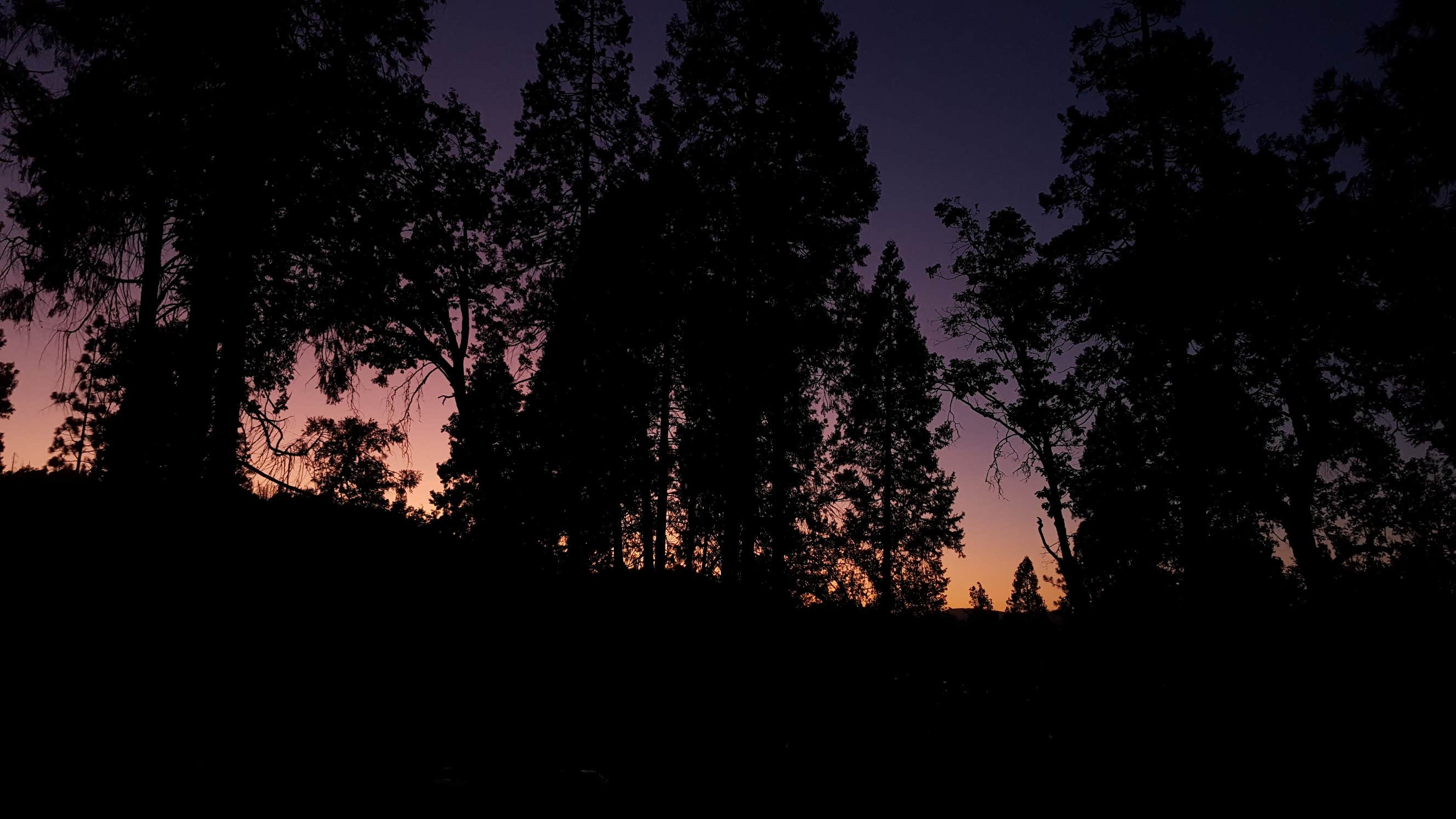 Forks Campground (Inyo) — Inyo National Forest CA