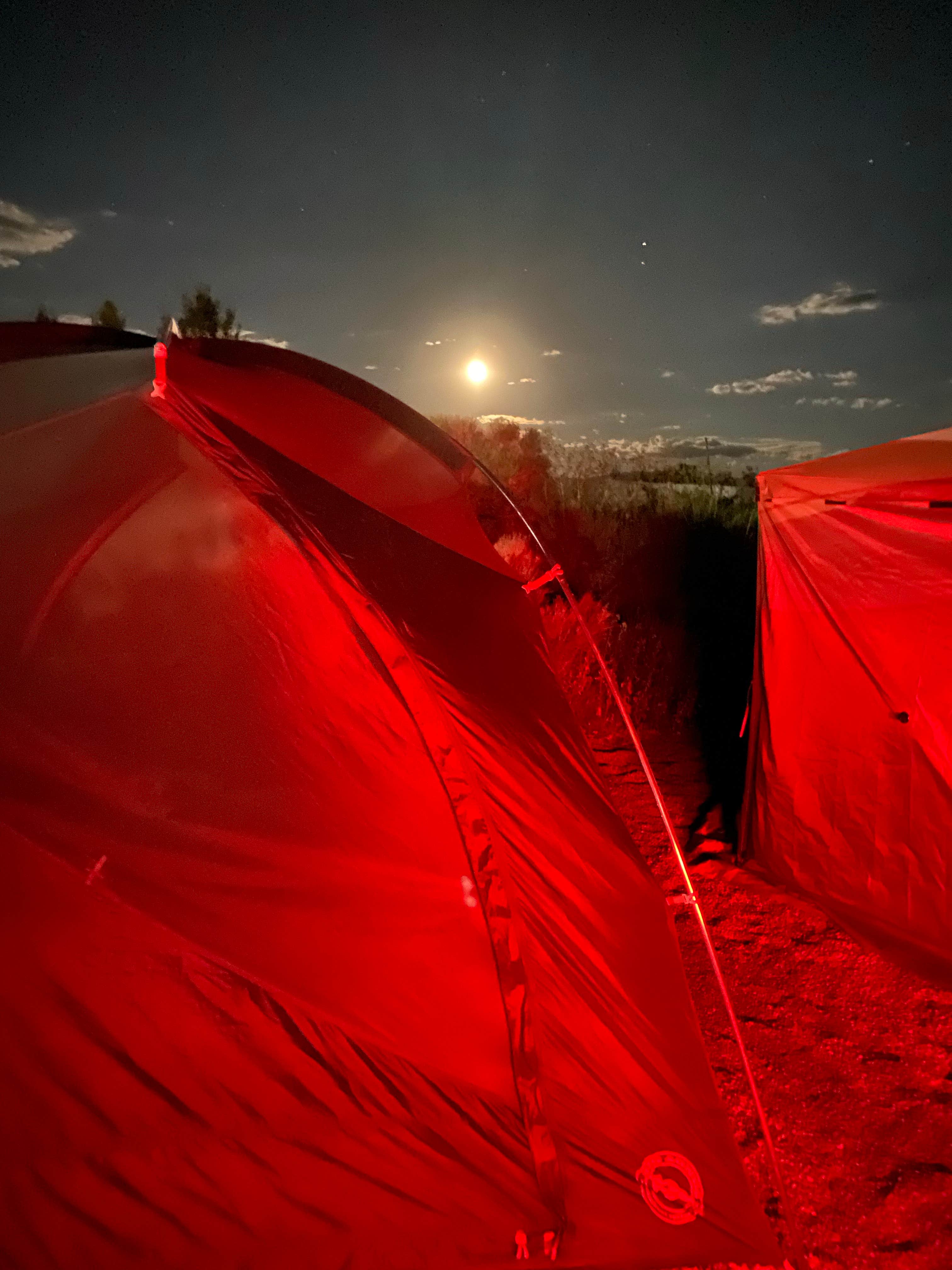 Patrick B.'s photo at Sand Dunes Recreation near Great Sand Dunes National Park & Preserve