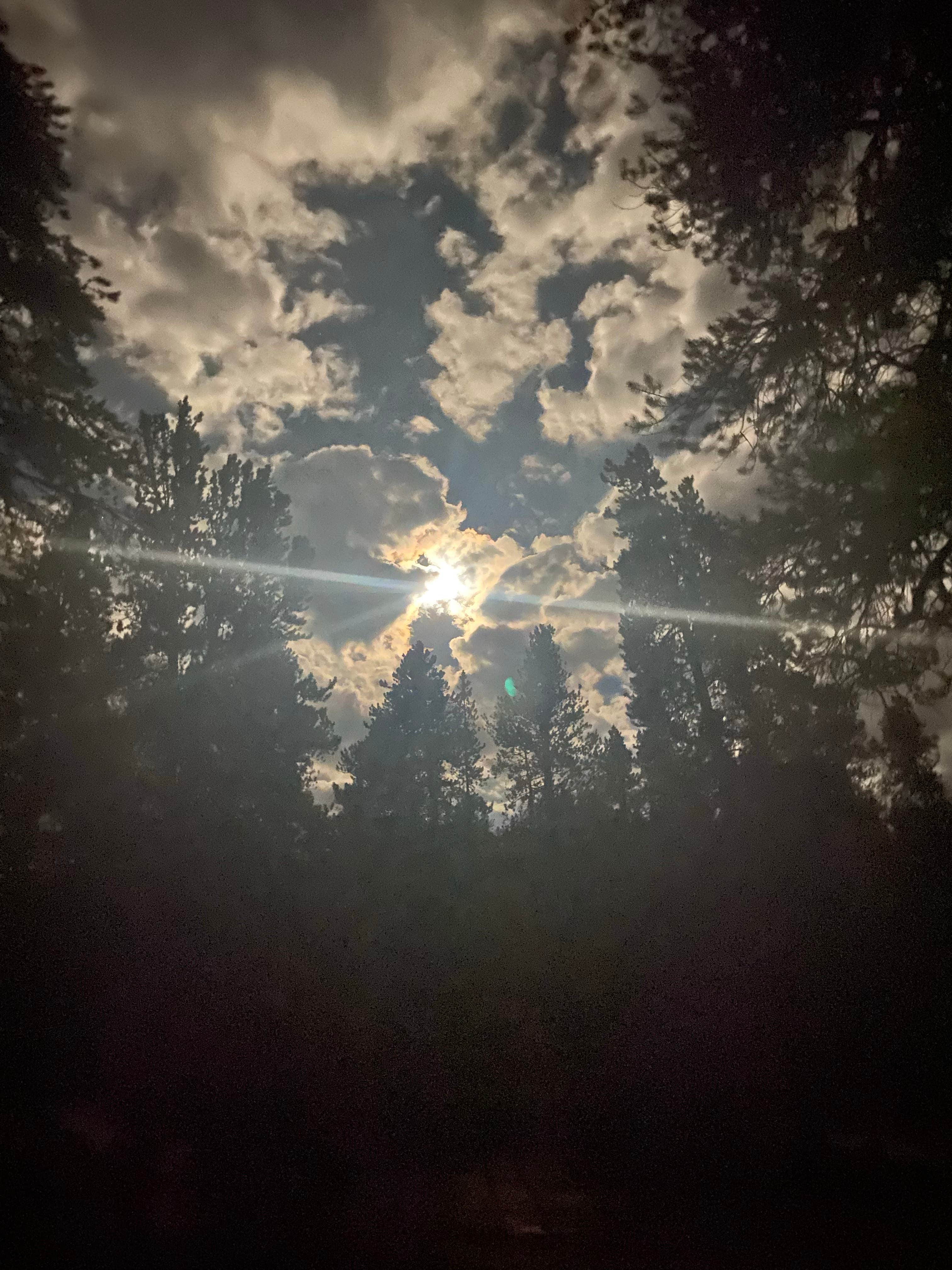 Patrick B.'s photo of a dispersed camping area at Twin Lakes Dispersed near Fairplay, CO