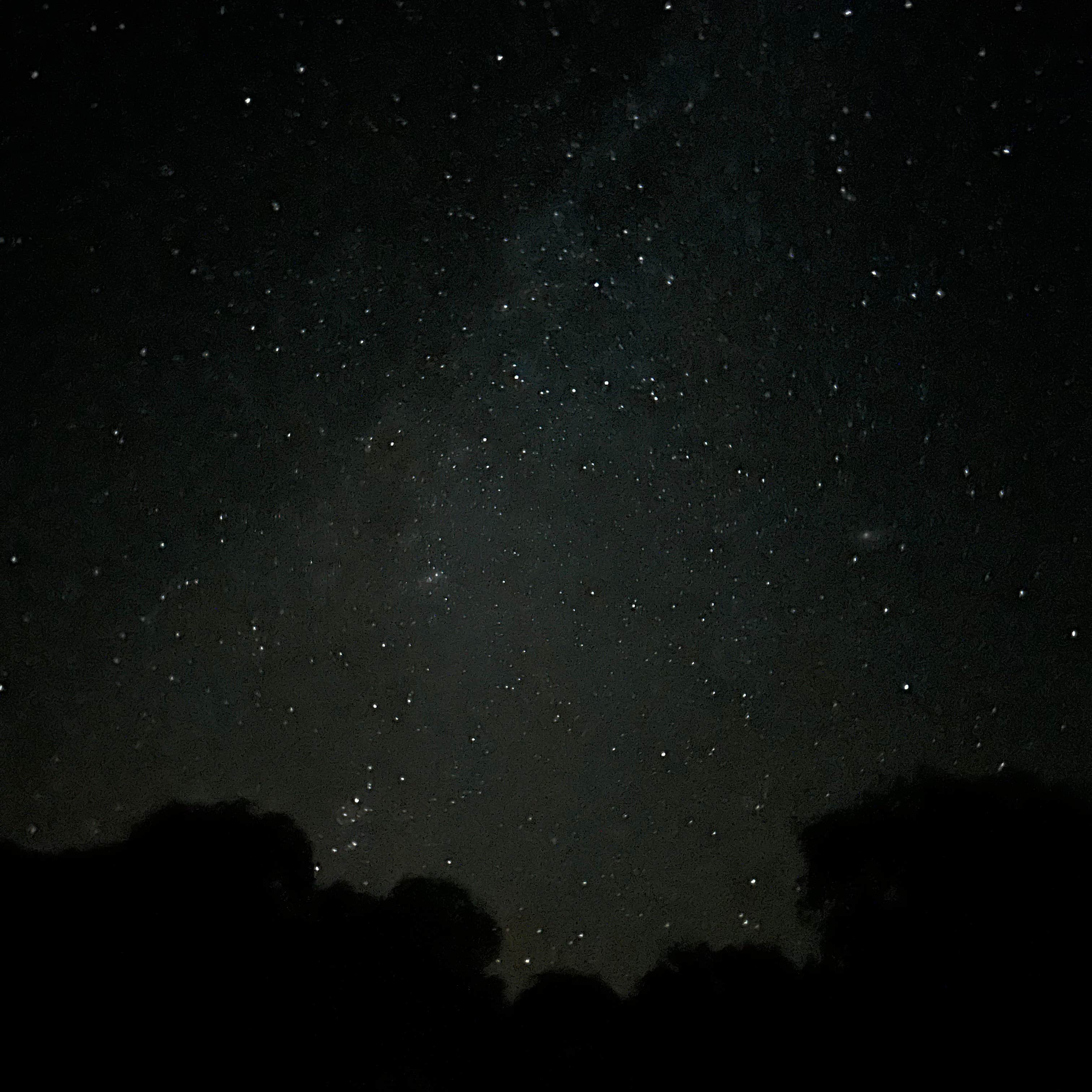 Camper-submitted photo at Roosevelt Park near Mikkalo, OR