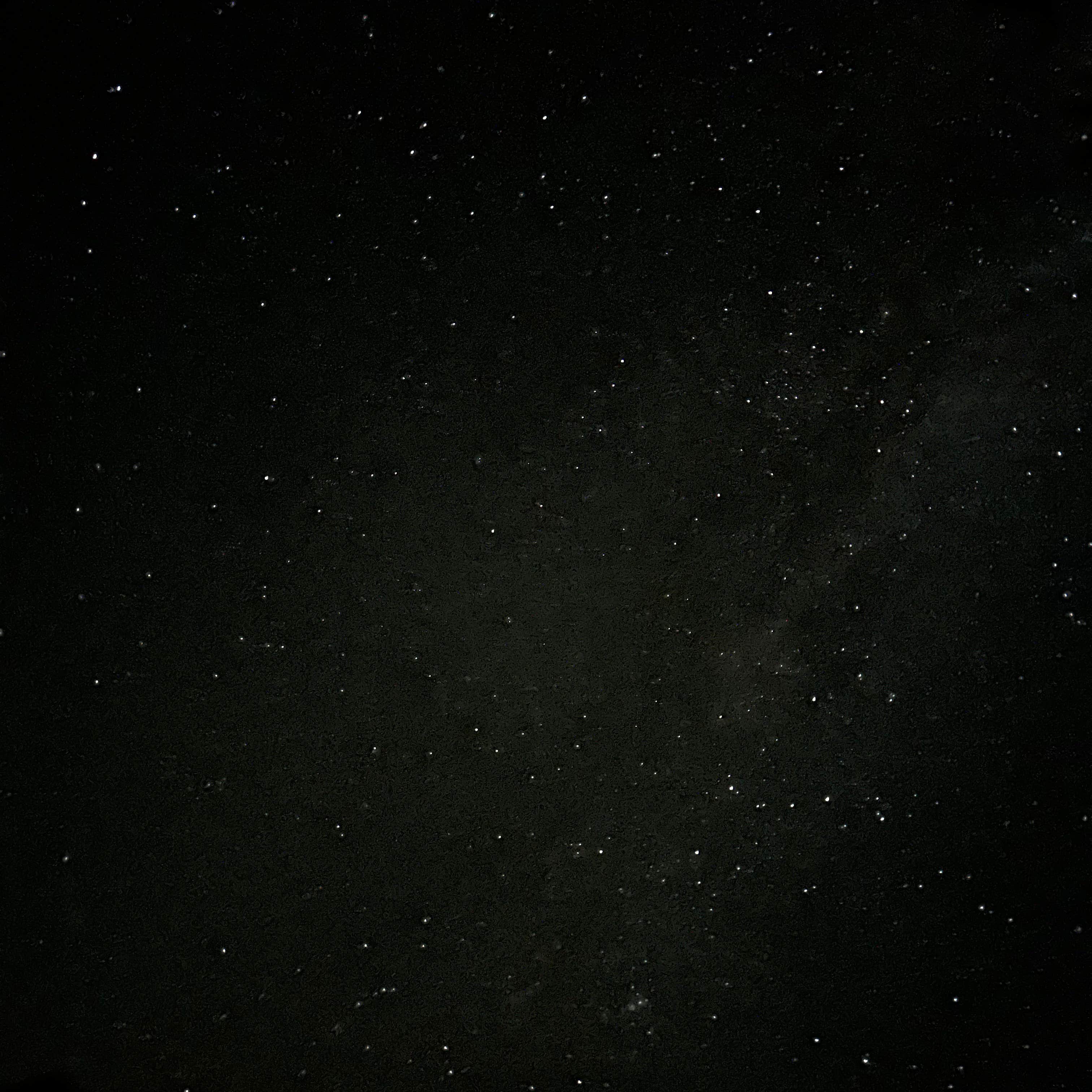 Camper-submitted photo at Roosevelt Park near Mikkalo, OR