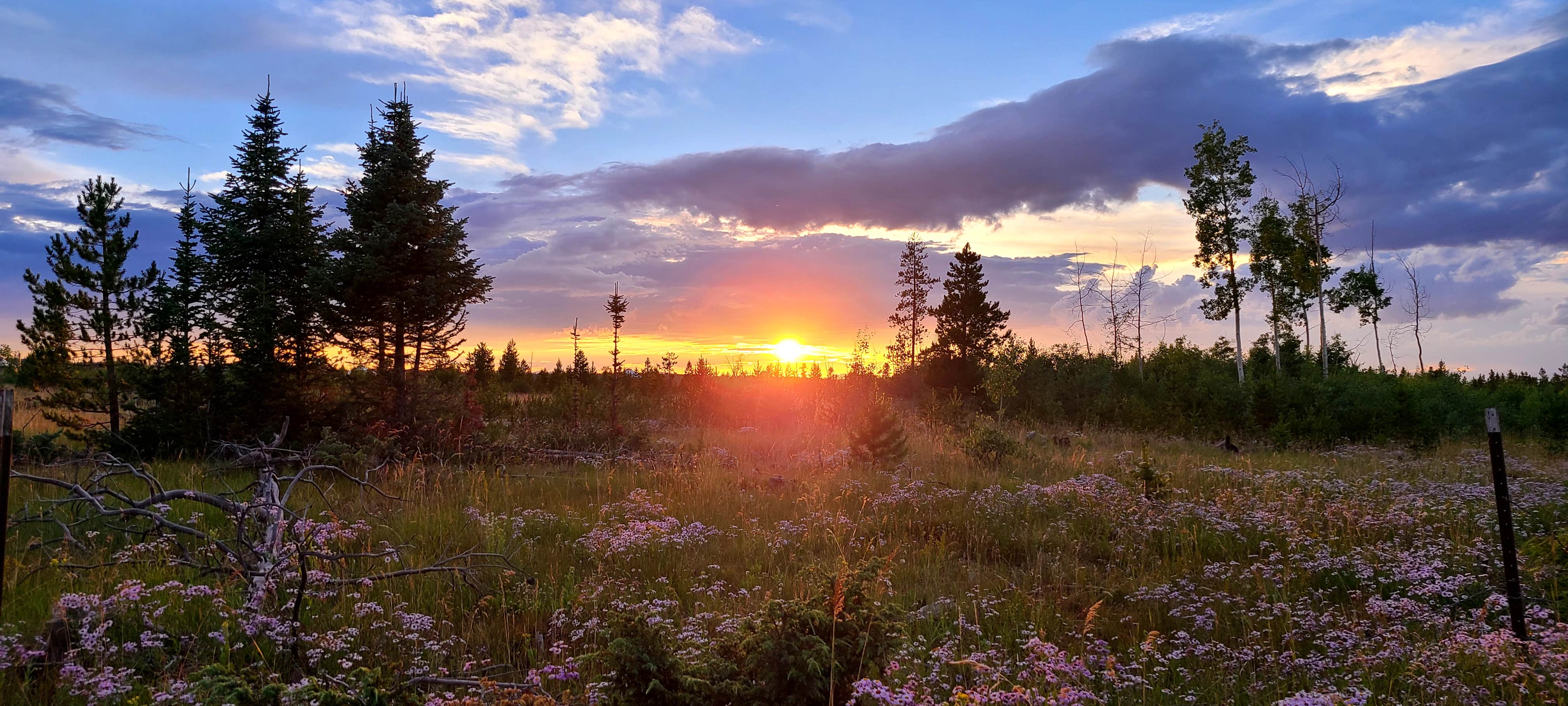 Camper-submitted photo at North Park Campground near Medicine Bow-Routt National Forests and Thunder Basin National Grassland